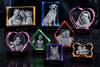 The Story Behind Every Paw Print: Why Pet Keepsakes Matter - Memirova