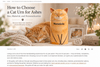How to choose a cat urn for ashes - size, material and personalization guide