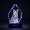 Memirova Forever Bond Custom 3D Pet Faceted Crystal, shown from an angle, highlighting how light refracts through the crystal