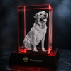 Memirova Memory Crystal Portrait Keepsake, close-up of the internal 3D laser engraving detail