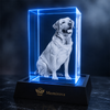 Memirova Memory Crystal Portrait Keepsake, shown alongside other available sizes for scale reference