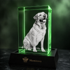 Memirova Memory Crystal Portrait Keepsake, shown illuminated on an optional LED light display base