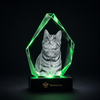 Memirova Forever Bond Custom 3D Pet Faceted Crystal, shown from an angle, highlighting how light refracts through the crystal