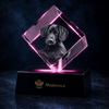 Memirova Memory Square Crystal Keepsake, shown illuminated on an optional LED light display base