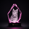 Memirova Forever Bond Custom 3D Pet Faceted Crystal