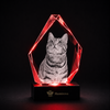 Memirova Forever Bond Custom 3D Pet Faceted Crystal, shown illuminated on an optional LED light display base