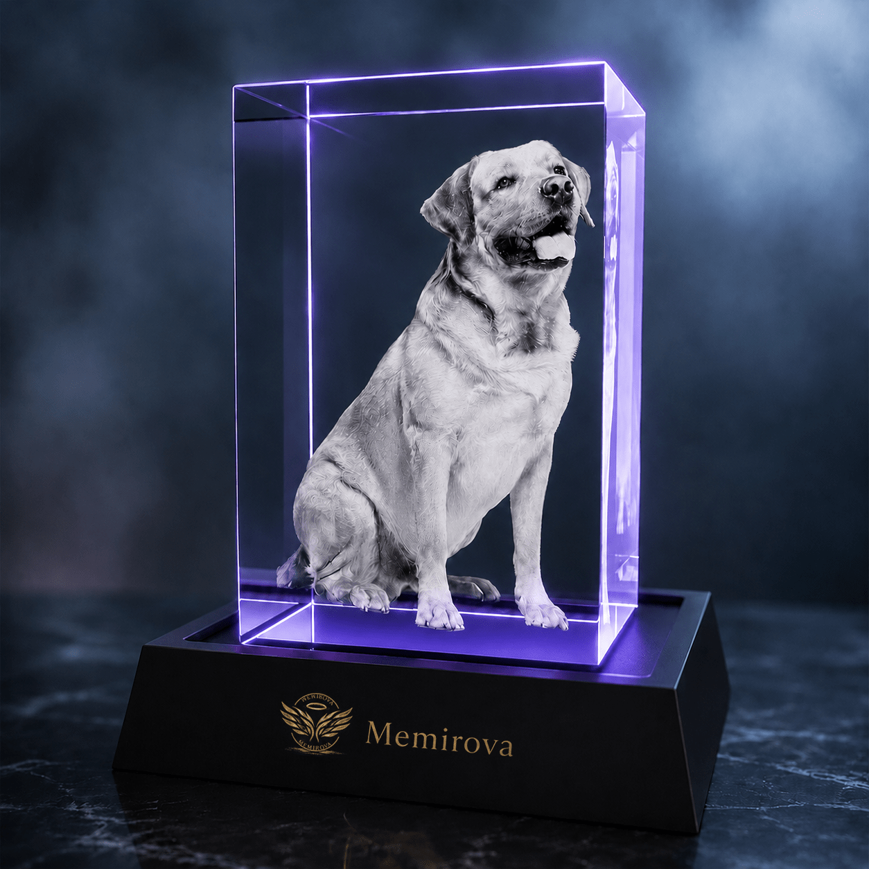 Memirova Memory Crystal Portrait Keepsake - Memirova