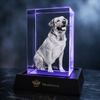 Memirova Memory Crystal Portrait Keepsake, displayed on a shelf as part of a home memorial display