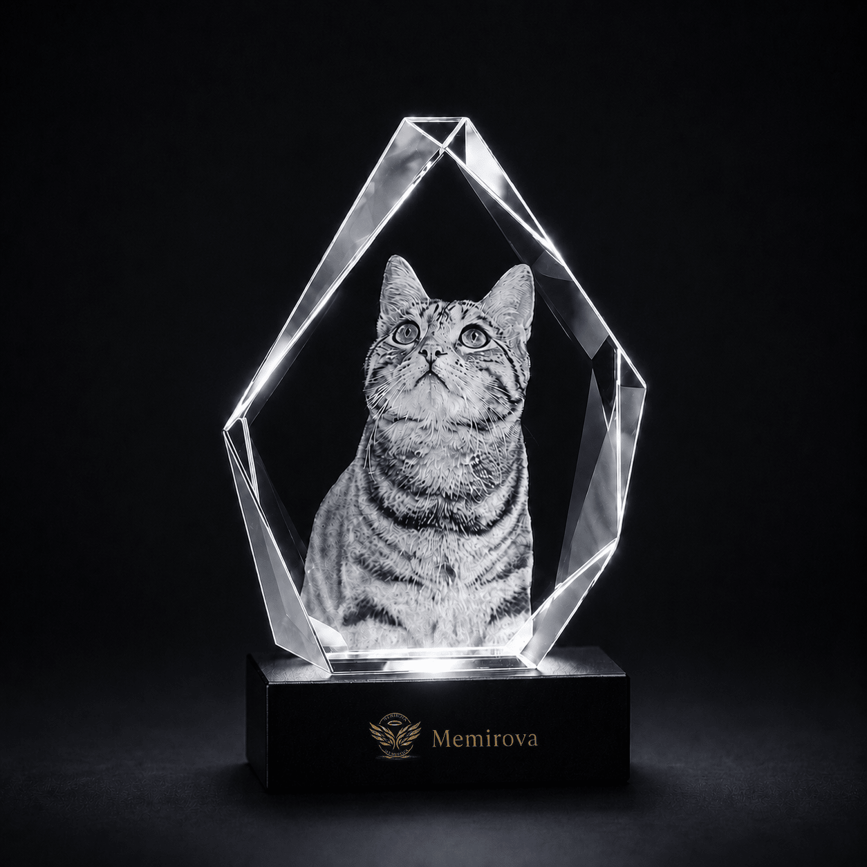Memirova Forever Bond Custom 3D Pet Faceted Crystal - Memirova