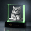 Memirova Rainbow Bridge Faceted Memory Crystal-Memirova